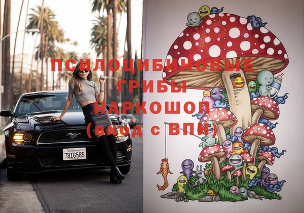 бошки Балахна