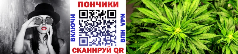 магазин продажи наркотиков  кракен онион  Шишки марихуана SATIVA & INDICA  Петровск-Забайкальский 
